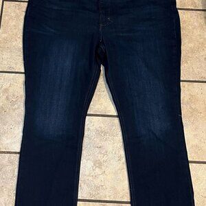 Lee Jeans Women Size 24 M Regular Fit Straight Leg Mid Rise Blue Demin 1CMSEW2